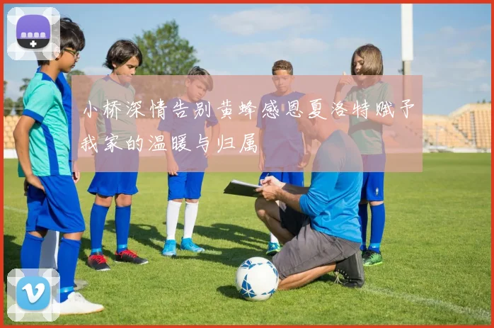 小桥深情告别黄蜂感恩夏洛特赋予我家的温暖与归属