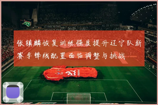 张镇麟恢复训练强度提升辽宁队新赛季锋线配置面临调整与挑战