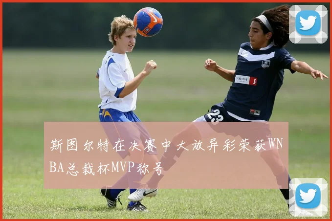斯图尔特在决赛中大放异彩荣获WNBA总裁杯MVP称号